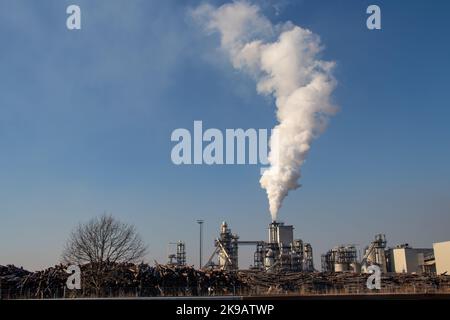 L'inquinamento urbano si mescolò con la nebbia mattutina, i camini industriali intorno a Belgrado, uno dei paesaggi urbani più inquinati d'Europa Foto Stock