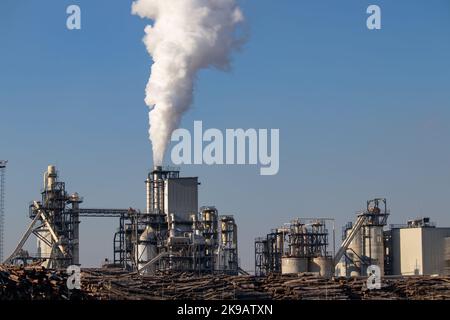 L'inquinamento urbano si mescolò con la nebbia mattutina, i camini industriali intorno a Belgrado, uno dei paesaggi urbani più inquinati d'Europa Foto Stock