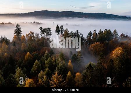 Ostrzyce, Polonia. 14th Set, 2017. (NOTA PER I REDATTORI: Immagine scattata con il drone)Una vista all'alba piena di nuvole vista sopra la foresta vicino a Ostrzyce in Kashubia. Kashubia è una regione culturale della Polonia settentrionale, parte della Pomerania di Danzica. Ci sono oltre 500 laghi nel Kashubian Lake District, i laghi sono alti fino al 3,5% della zona del mesoregione. La regione è abitata da kashubiani che parlano la lingua kashubiana, che ha lo status di lingua regionale in Polonia dal 2005. (Foto di Mateusz Slodkowski/SOPA Images/Sipa USA) Credit: Sipa USA/Alamy Live News Foto Stock