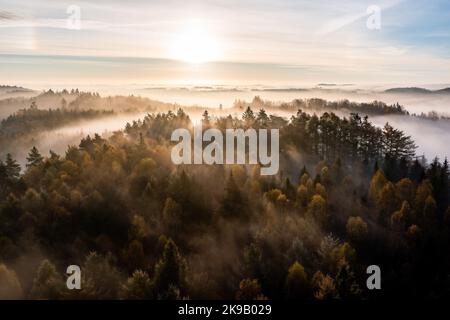 Ostrzyce, Polonia. 14th Set, 2017. (NOTA PER I REDATTORI: Immagine scattata con il drone)Una vista all'alba piena di nuvole vista sopra la foresta vicino a Ostrzyce in Kashubia. Kashubia è una regione culturale della Polonia settentrionale, parte della Pomerania di Danzica. Ci sono oltre 500 laghi nel Kashubian Lake District, i laghi sono alti fino al 3,5% della zona del mesoregione. La regione è abitata da kashubiani che parlano la lingua kashubiana, che ha lo status di lingua regionale in Polonia dal 2005. (Foto di Mateusz Slodkowski/SOPA Images/Sipa USA) Credit: Sipa USA/Alamy Live News Foto Stock