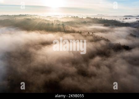 Ostrzyce, Polonia. 14th Set, 2017. (NOTA PER I REDATTORI: Immagine scattata con il drone)Una vista all'alba piena di nuvole vista sopra la foresta vicino a Ostrzyce in Kashubia. Kashubia è una regione culturale della Polonia settentrionale, parte della Pomerania di Danzica. Ci sono oltre 500 laghi nel Kashubian Lake District, i laghi sono alti fino al 3,5% della zona del mesoregione. La regione è abitata da kashubiani che parlano la lingua kashubiana, che ha lo status di lingua regionale in Polonia dal 2005. (Foto di Mateusz Slodkowski/SOPA Images/Sipa USA) Credit: Sipa USA/Alamy Live News Foto Stock