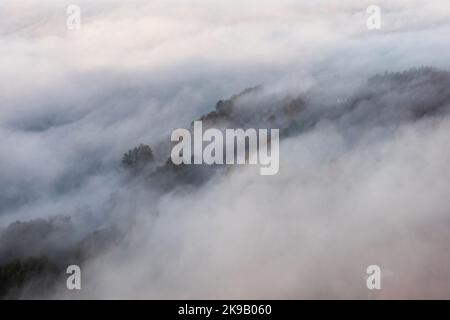 Ostrzyce, Polonia. 14th Set, 2017. (NOTA PER I REDATTORI: Immagine scattata con il drone)Una vista all'alba piena di nuvole vista sopra la foresta vicino a Ostrzyce in Kashubia. Kashubia è una regione culturale della Polonia settentrionale, parte della Pomerania di Danzica. Ci sono oltre 500 laghi nel Kashubian Lake District, i laghi sono alti fino al 3,5% della zona del mesoregione. La regione è abitata da kashubiani che parlano la lingua kashubiana, che ha lo status di lingua regionale in Polonia dal 2005. (Foto di Mateusz Slodkowski/SOPA Images/Sipa USA) Credit: Sipa USA/Alamy Live News Foto Stock