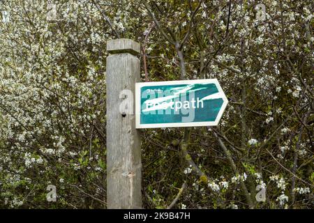 Freccia direzionale sentiero segno fortemente graffiato che punta a destra montato su un palo di legno con un albero in fiore sullo sfondo Foto Stock