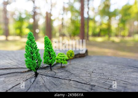 Messa a punto della foresta in miniatura disposta su un ceppo dell'albero reale nei boschi, fuoco selettivo Foto Stock