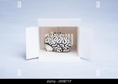 Primo piano di un cervello umano all'interno di una scatola di spedizione isolata su bianco. Foto Stock