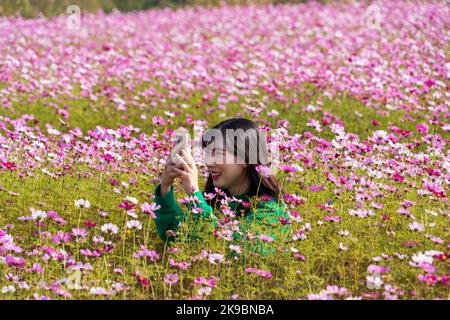 Goyang, Corea del Sud. 27th Ott 2022. Un turista scatta foto in un giardino di cosmo a Goyang, Corea del Sud, 27 ottobre 2022. Credit: James Lee/Xinhua/Alamy Live News Foto Stock