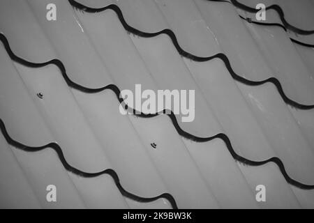 Mattonelle di metallo grigie, foto ravvicinata del moderno tetto della casa di campagna Foto Stock