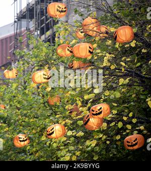 Manchester, Regno Unito. 27th ottobre 2022. Le zucche di carta decorano gli alberi nel centro della città. Le decorazioni di Halloween appaiono nel centro della città di Manchester, Inghilterra, Regno Unito, pronto per la celebrazione di Halloween o Hallowe'en, come osservato in molti paesi il 31 ottobre, la vigilia della festa cristiana occidentale di tutti i Halloween ' Day. Il festival inizia l'osservanza di Allhallowtide, un tempo per ricordare i morti, tra cui santi o santuette e tutti i defunti. Credit: Terry Waller/Alamy Live News Foto Stock