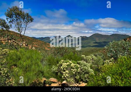 Paesaggio lungo l'escursione di St Mary Peak, Wilpena Pound, Flinders Ranges, South Australia Foto Stock