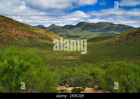 Paesaggio lungo l'escursione di St Mary Peak, Wilpena Pound, Flinders Ranges, South Australia Foto Stock