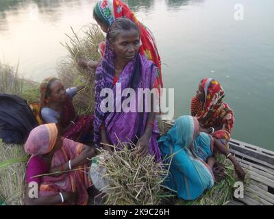 Naogaon, Bangladesh. 27th Ott 2022. Le donne indigene di Santal su una barca per attraversare il fiume mentre tornano a casa dopo aver terminato il lavoro di un giorno nel fiume Atria sulla periferia del cappello Dhamoir del distretto di Naogaon. (Credit Image: © MD Mehedi Hasan/ZUMA Press Wire) Credit: ZUMA Press, Inc./Alamy Live News Foto Stock