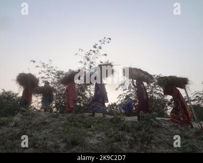 Naogaon, Bangladesh. 27th Ott 2022. La silhouette della donna indigena Santal porta un carico di risone sulla testa durante il tramonto nella parte esterna del cappello di Dhamoir del distretto di Naogaon. (Credit Image: © MD Mehedi Hasan/ZUMA Press Wire) Credit: ZUMA Press, Inc./Alamy Live News Foto Stock