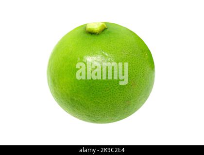 Primo piano una vivace Lime Verde Ovest Indiano isolato su sfondo bianco Foto Stock