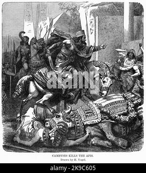 Cambyses uccide le API, Illustrazione, Ridpath's History of the World, Volume i, di John Clark Ridpath, LL. D., Merrill & Baker Publishers, New York, 1894 Foto Stock