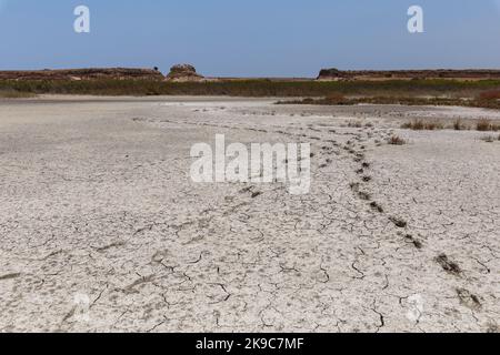 Deserto con impronte sul sito di un lago asciutto Foto Stock