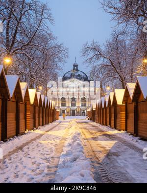 Solomiya Krushelnytska Lviv state Academic Theatre of Opera and Ballet in inverno. Chiosco della fiera di Natale in legno di fila con la luce della città al mattino Foto Stock