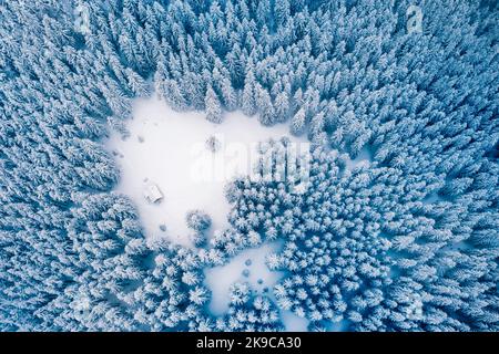 La cima del drone aereo vola sopra la foresta invernale di abete rosso e pino con cabina in legno. Abeti nella valle montana ricoperta di neve. Fotografia di paesaggio Foto Stock