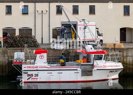 Lossiemouth, Moray, Regno Unito. 27th Ott 2022. Si tratta dei molluschi che vengono scaricati dalla barca da pesca Westro INS20 al molo nel Porto di Lossiemouth. Tutte le catture provenivano da creels intorno a Lossiemouth nel Moray Firth. Credit: JASPERIMAGE/Alamy Live News Foto Stock