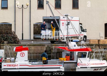 Lossiemouth, Moray, Regno Unito. 27th Ott 2022. Si tratta dei molluschi che vengono scaricati dalla barca da pesca Westro INS20 al molo nel Porto di Lossiemouth. Tutte le catture provenivano da creels intorno a Lossiemouth nel Moray Firth. Credit: JASPERIMAGE/Alamy Live News Foto Stock