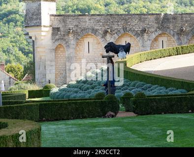 Un'aquila dalla coda bianca (Haliaeetus albicilla) in volo su un prato erboso Foto Stock