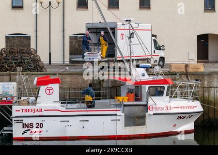 Lossiemouth, Moray, Regno Unito. 27th Ott 2022. Si tratta dei molluschi che vengono scaricati dalla barca da pesca Westro INS20 al molo nel Porto di Lossiemouth. Tutte le catture provenivano da creels intorno a Lossiemouth nel Moray Firth. Credit: JASPERIMAGE/Alamy Live News Foto Stock