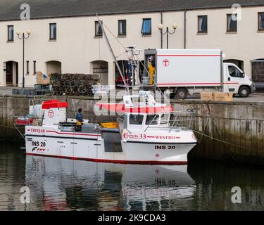 Lossiemouth, Moray, Regno Unito. 27th Ott 2022. Si tratta dei molluschi che vengono scaricati dalla barca da pesca Westro INS20 al molo nel Porto di Lossiemouth. Tutte le catture provenivano da creels intorno a Lossiemouth nel Moray Firth. Credit: JASPERIMAGE/Alamy Live News Foto Stock