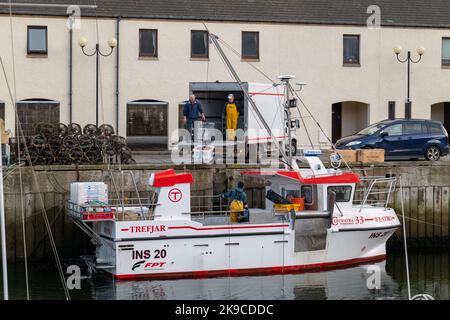 Lossiemouth, Moray, Regno Unito. 27th Ott 2022. Si tratta dei molluschi che vengono scaricati dalla barca da pesca Westro INS20 al molo nel Porto di Lossiemouth. Tutte le catture provenivano da creels intorno a Lossiemouth nel Moray Firth. Credit: JASPERIMAGE/Alamy Live News Foto Stock