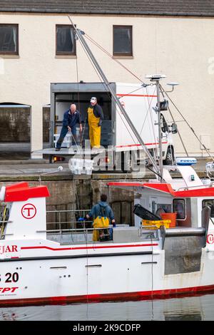 Lossiemouth, Moray, Regno Unito. 27th Ott 2022. Si tratta dei molluschi che vengono scaricati dalla barca da pesca Westro INS20 al molo nel Porto di Lossiemouth. Tutte le catture provenivano da creels intorno a Lossiemouth nel Moray Firth. Credit: JASPERIMAGE/Alamy Live News Foto Stock