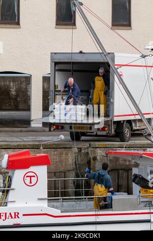 Lossiemouth, Moray, Regno Unito. 27th Ott 2022. Si tratta dei molluschi che vengono scaricati dalla barca da pesca Westro INS20 al molo nel Porto di Lossiemouth. Tutte le catture provenivano da creels intorno a Lossiemouth nel Moray Firth. Credit: JASPERIMAGE/Alamy Live News Foto Stock