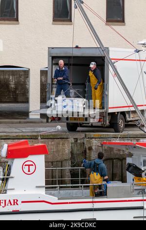 Lossiemouth, Moray, Regno Unito. 27th Ott 2022. Si tratta dei molluschi che vengono scaricati dalla barca da pesca Westro INS20 al molo nel Porto di Lossiemouth. Tutte le catture provenivano da creels intorno a Lossiemouth nel Moray Firth. Credit: JASPERIMAGE/Alamy Live News Foto Stock