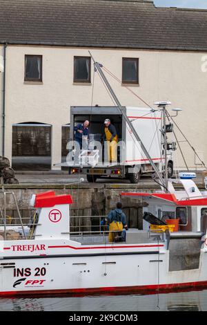 Lossiemouth, Moray, Regno Unito. 27th Ott 2022. Si tratta dei molluschi che vengono scaricati dalla barca da pesca Westro INS20 al molo nel Porto di Lossiemouth. Tutte le catture provenivano da creels intorno a Lossiemouth nel Moray Firth. Credit: JASPERIMAGE/Alamy Live News Foto Stock