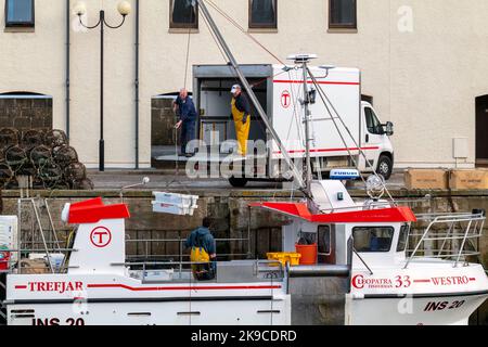 Lossiemouth, Moray, Regno Unito. 27th Ott 2022. Si tratta dei molluschi che vengono scaricati dalla barca da pesca Westro INS20 al molo nel Porto di Lossiemouth. Tutte le catture provenivano da creels intorno a Lossiemouth nel Moray Firth. Credit: JASPERIMAGE/Alamy Live News Foto Stock