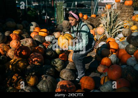 La donna contadina in una tuta di denim sceglie la zucca matura Foto Stock