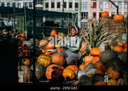 La donna contadina in una tuta di denim sceglie la zucca matura Foto Stock