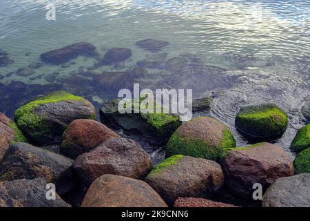 Pietre coperte di muschio che sporgono dall'acqua in Polonia Foto Stock