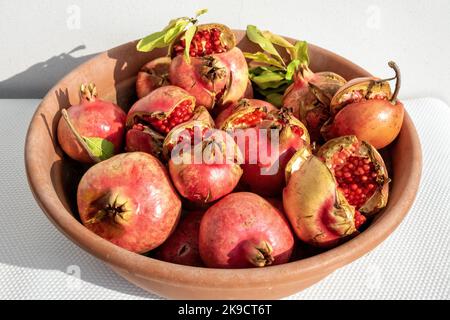 ciotola con frutta di melograno matura e aperta Foto Stock