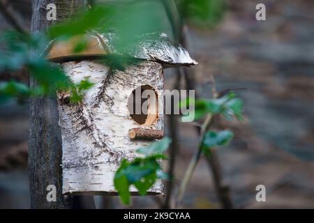 Un'antica birdhouse in legno su un albero in un parco. Un disegno semplice di un birdhouse fatto di tronchi di betulla su un albero Foto Stock