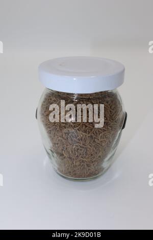 Caraway, conosciuto anche come finocchio meridiano e cumino persiano (Carum carvi) in un vaso di vetro. Foto Stock