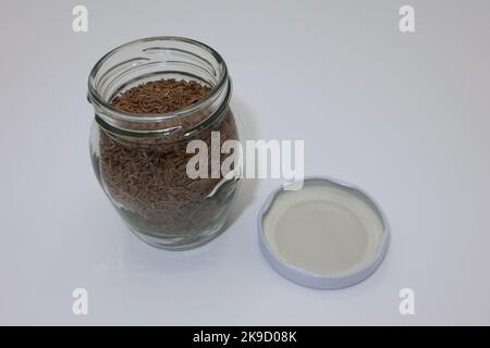 Caraway, conosciuto anche come finocchio meridiano e cumino persiano (Carum carvi) in un vaso di vetro. Foto Stock