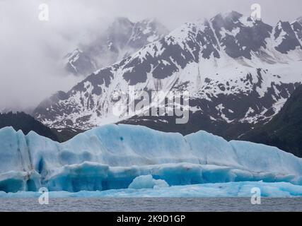 Bear laguna glaciale, il Parco nazionale di Kenai Fjords, vicino a Seward, Alaska. Foto Stock