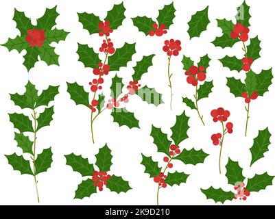Agrifoglio. Natale vacanza decorazione ramo con bacche rosse, inverno foglie di pianta vettore illustrazione set Illustrazione Vettoriale