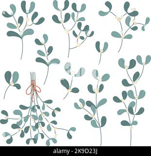 Rami di mistletoe. Natale decorazione ramo di pianta con frutti di bosco e foglie, cartone animato floreale elementi vettoriale set di illustrazione Illustrazione Vettoriale