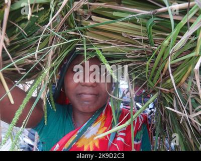 Naogaon, Bangladesh. 27th Ott 2022. Una donna indigena Santal si posa per una foto mentre torna a casa dopo aver terminato il lavoro di un giorno nel fiume Atria, sulla periferia del cappello Dhamoir del distretto di Naogaon. (Credit Image: © MD Mehedi Hasan/ZUMA Press Wire) Credit: ZUMA Press, Inc./Alamy Live News Foto Stock