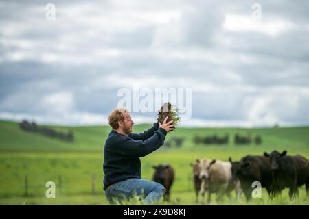 terreno scienziato agronomo agricoltore guardando campioni di terreno ed erba in un campo in primavera. guardando alla crescita di piante e la salute del suolo Foto Stock