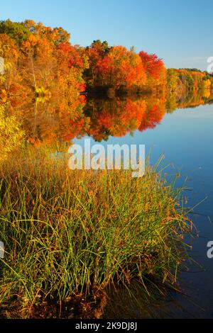 Parco Batterson stagno, Batterson Park Pond State barca lancio di New Britain, Connecticut Foto Stock