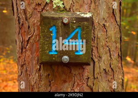 Nature Trail numero, Shade Swamp Sanctuary, Connecticut Foto Stock