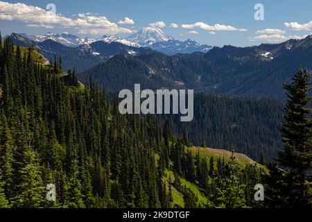 WA22584-00...WASHINGTON - Mount Adams e le rocce di Goat viste dal Pacific Crest Trail a nord di White Pass. Foto Stock