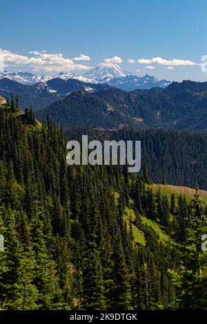 WA22585-00...WASHINGTON - Mount Adams e le rocce di Goat viste dal Pacific Crest Trail a nord di White Pass. Foto Stock