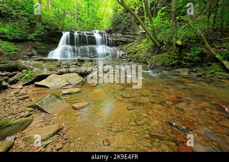 Romantico paesaggio con Upper Falls - West Virginia Foto Stock