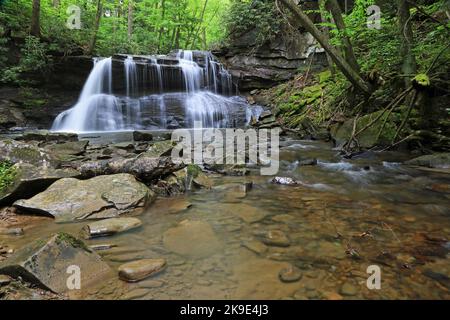 Upper Falls e Fall Run - West Virginia Foto Stock